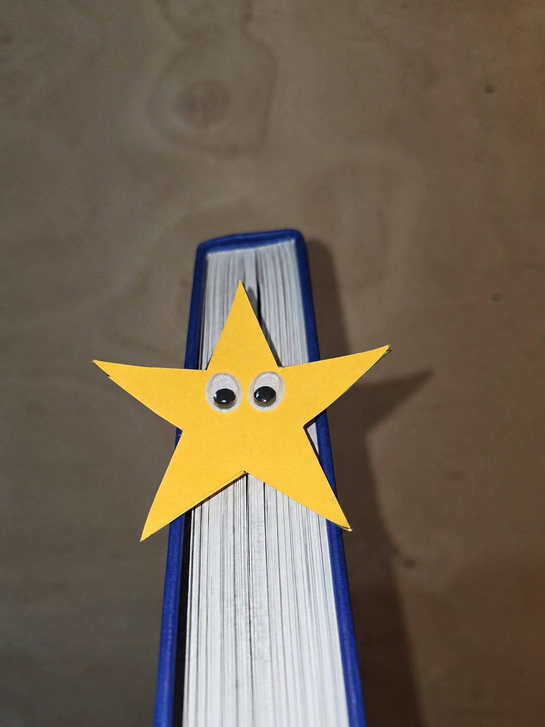 Einsteck-Stern mit aufgemaltem Gesicht